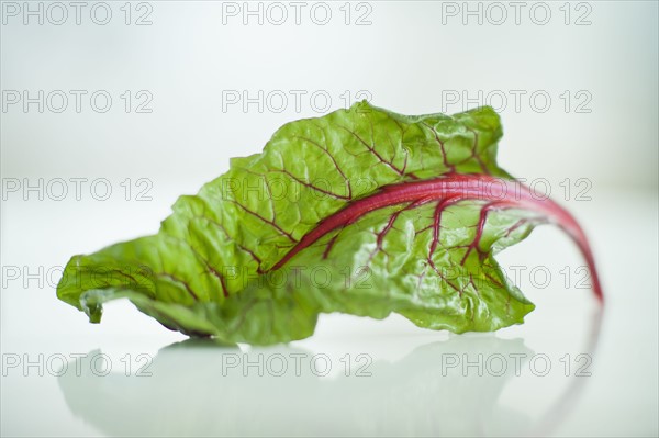 Swiss chard.