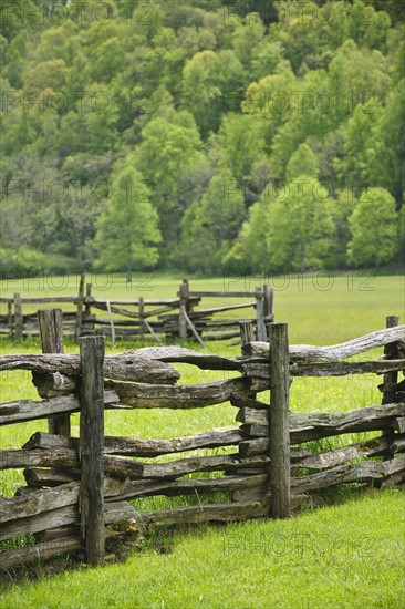 A fence in Smoky Mountain National Park.