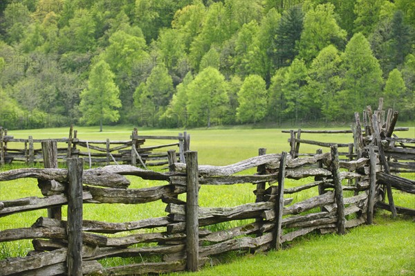 A fence in Smoky Mountain National Park.