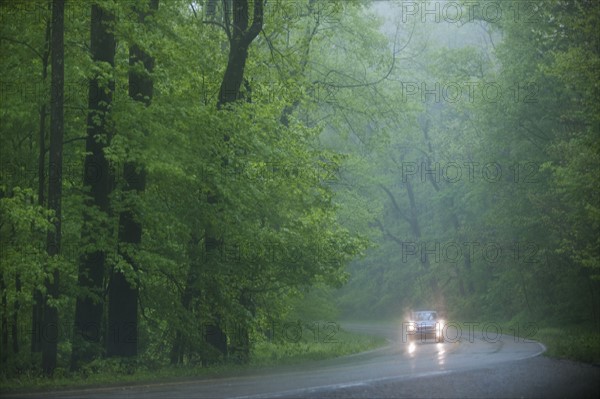 A scenic and empty road.