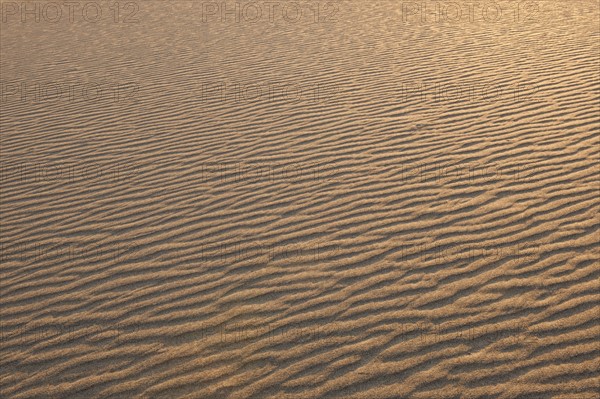 Sand dunes in the desert.