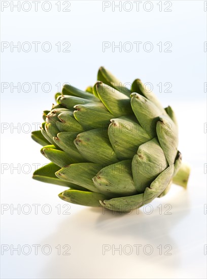 An artichoke.