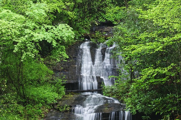 A scenic waterfall