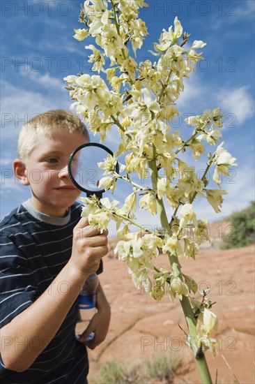 A young boy at Red Rock examining a plant