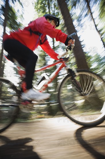 Biker in the woods