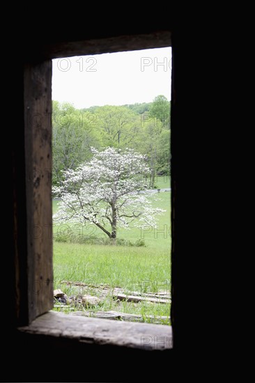 A window in a cabin