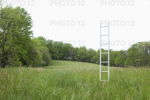 A ladder standing upright in a field