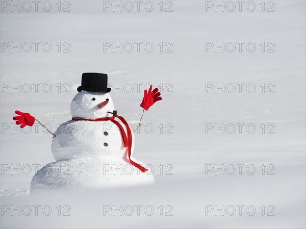 A snowman