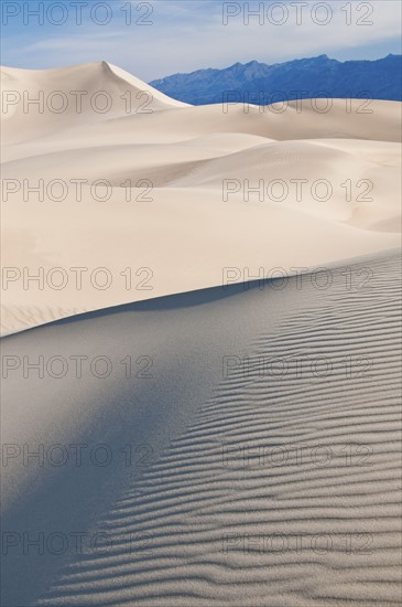 Sand dunes in the desert