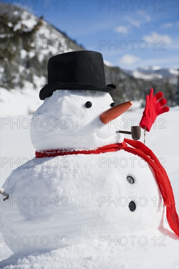 A snowman