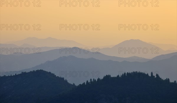 Mountain landscape with trees.