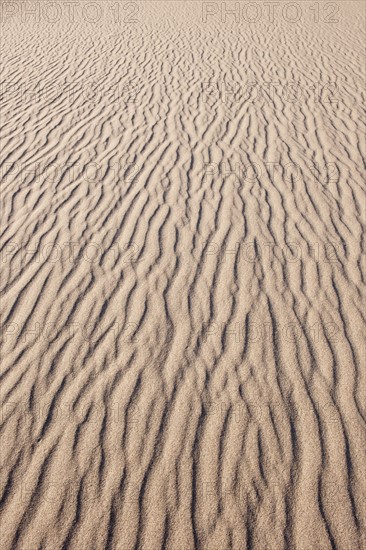 Sand dunes in the desert.