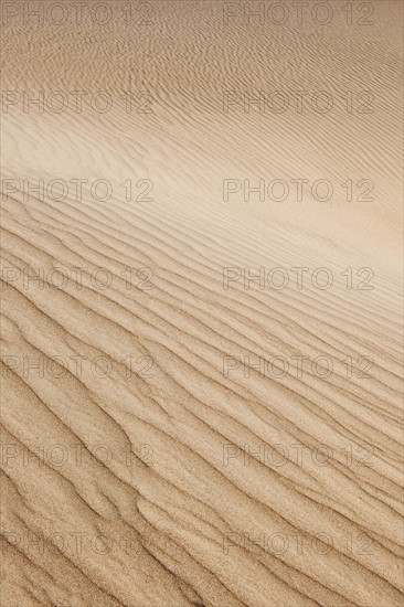 Sand dunes in the desert.