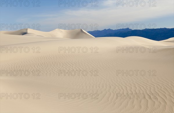 Sand dunes in the desert.