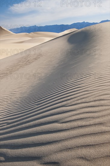 Sand dunes in the desert.