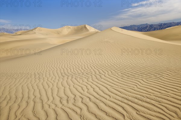 Sand dunes in the desert.