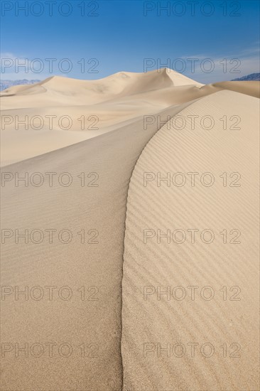 Sand dunes in the desert.