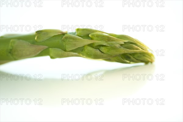 A spear of asparagus.