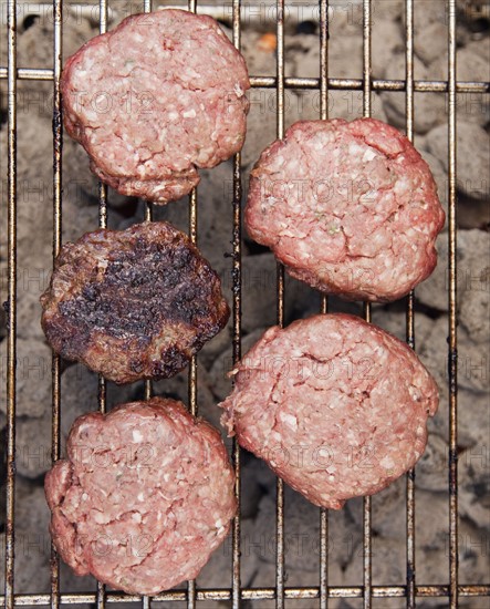 Hamburgers on a barbeque
