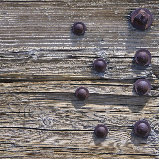 A wooden surface.