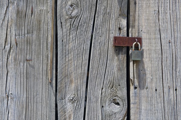 A wooden surface.