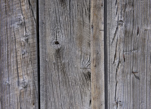 A wooden surface.