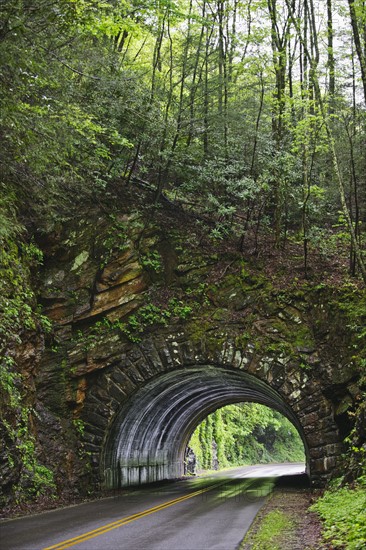 A scenic and empty road with tunnel.