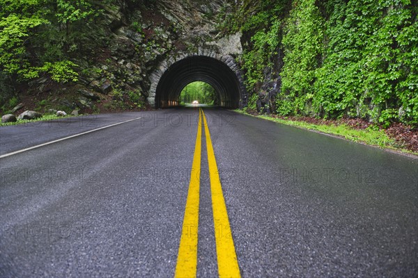 A scenic and empty road with tunnel.
