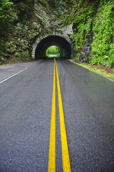 A scenic and empty road with tunnel.