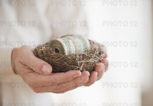 Hands holding a nest with money in it.