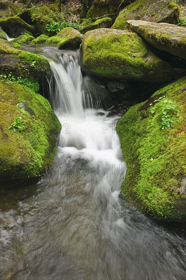 Flowing creek.