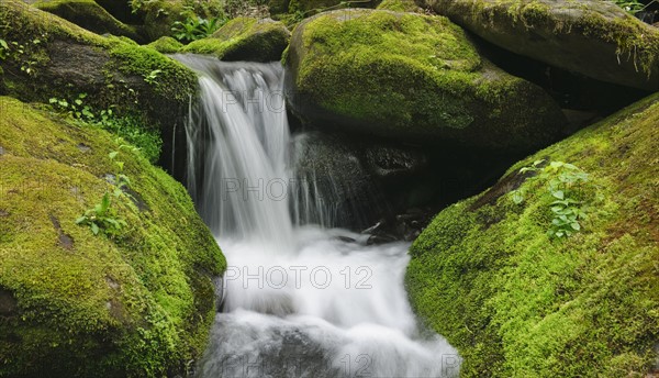 Flowing creek.