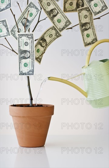 Money growing in a pot.