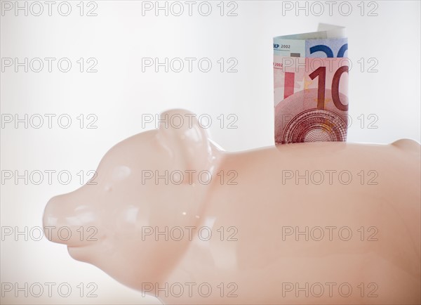 A piggy bank with bank notes in it.