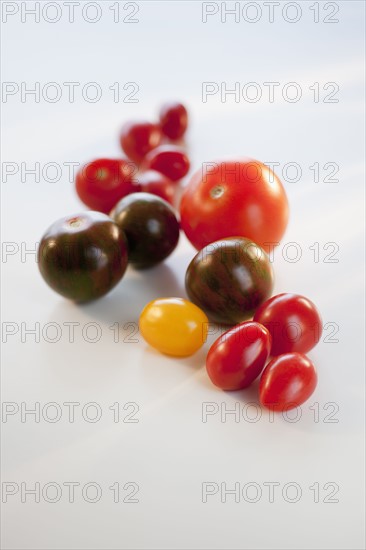 Différentes variétés de tomates