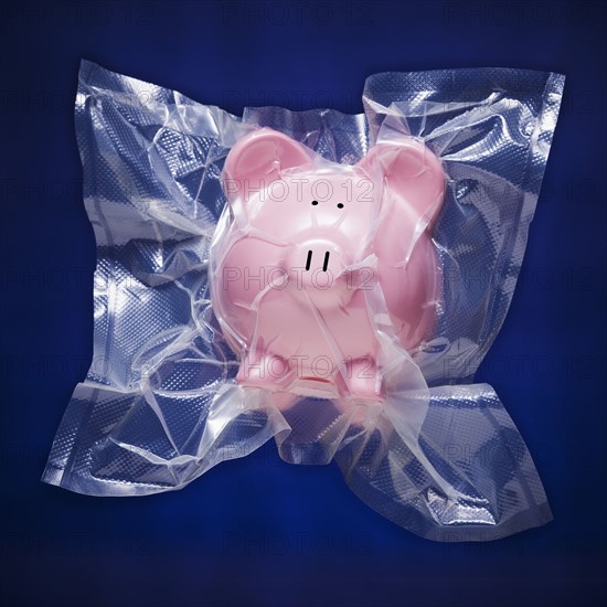 Shrink wrapped piggy bank