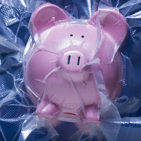 Shrink wrapped piggy bank