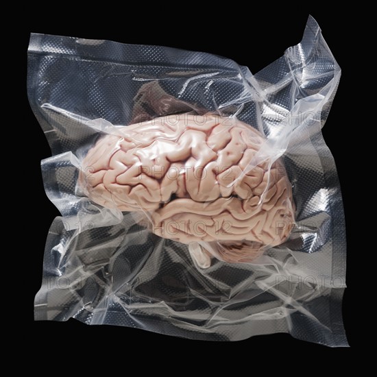 Shrink wrapped brain