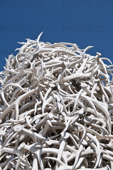 Pile of Antlers.