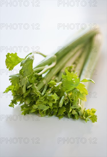 Celery.