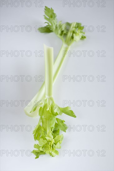 Celery.