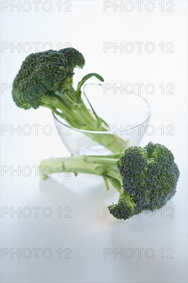 Broccoli.