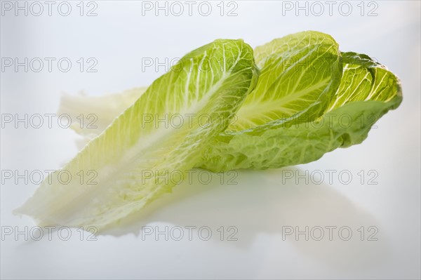 Romaine lettuce.