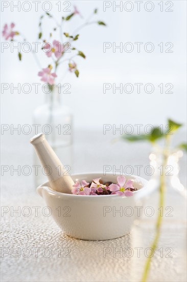 Bowl of flowers.