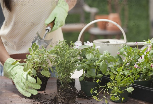 Woman gardening.