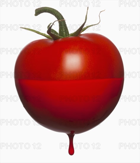 Tomatoe dripping with color