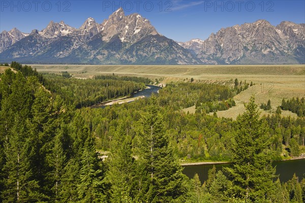 Scenic view of mountains and forest