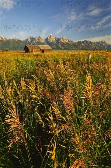 Scenic view of cabin near mountains