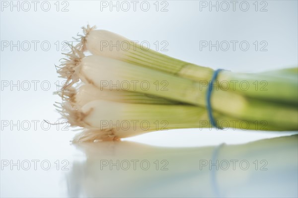 Green onions.