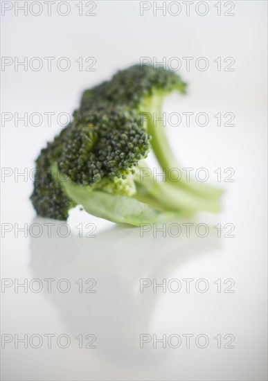 Broccoli.